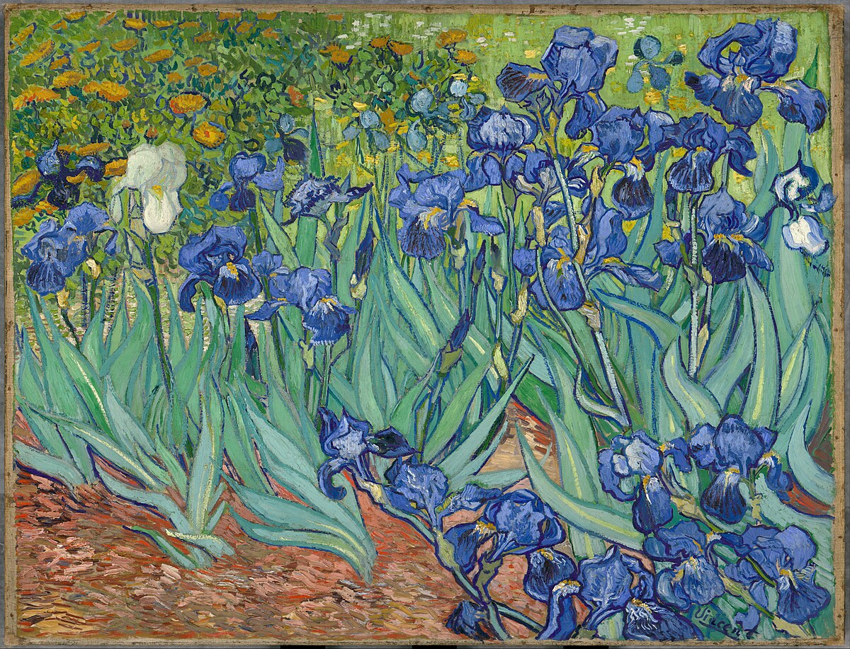 Irises Vincent van Gogh