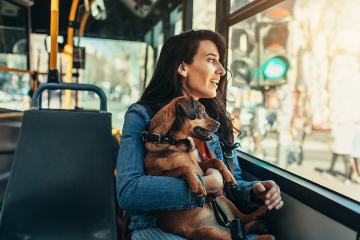 Pets on bus