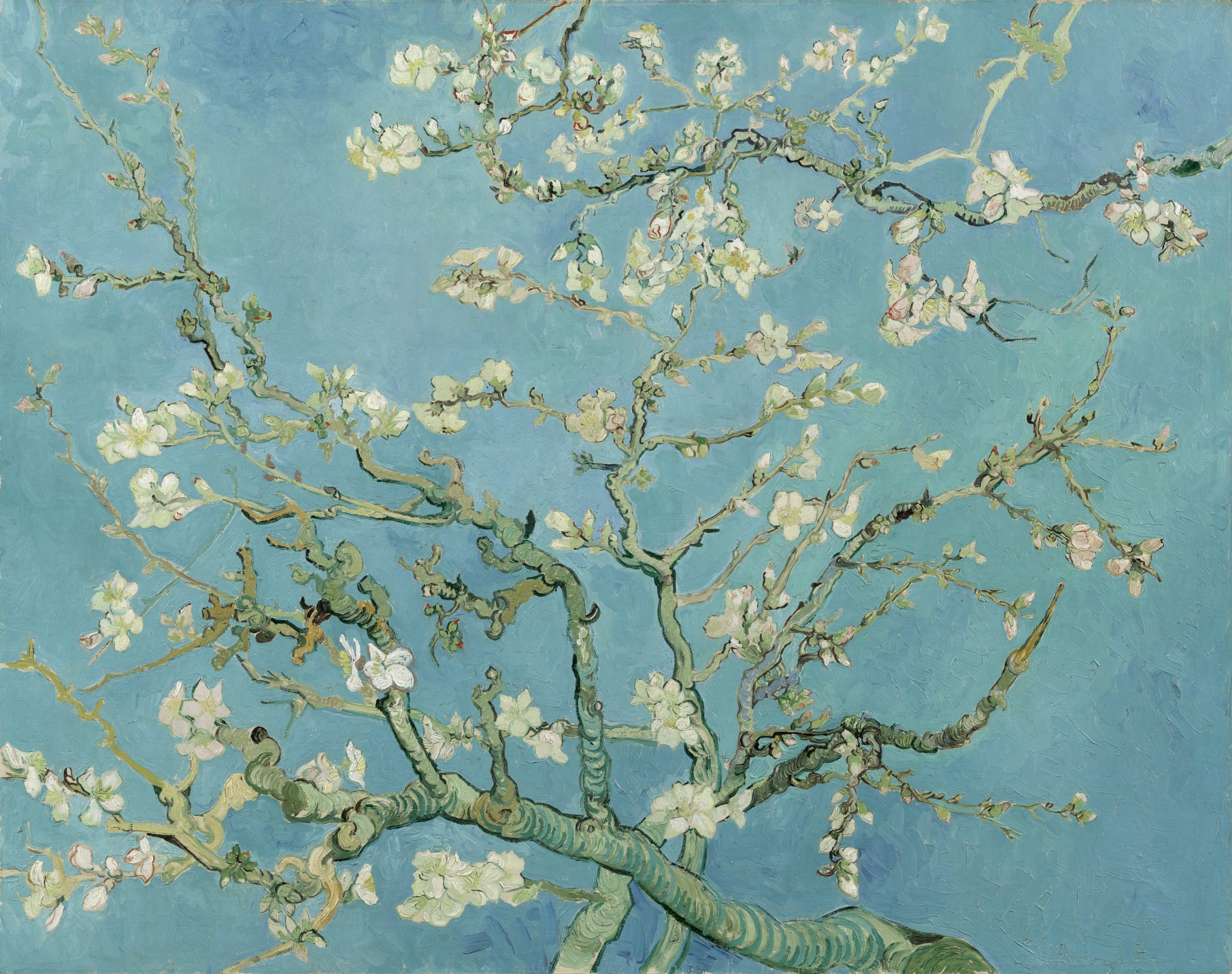 Vincent van Gogh Almond blossom Google Art Project scaled